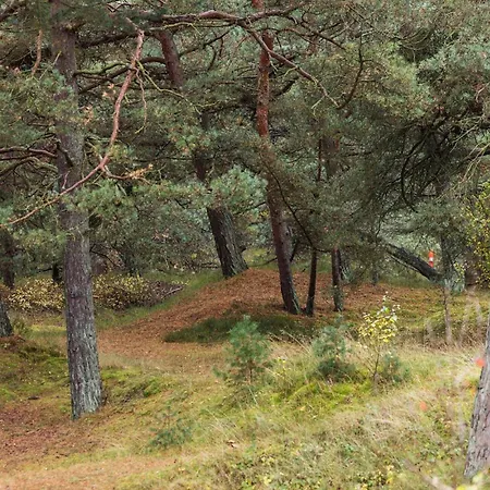 Amazing In With Wifi Lägenhet *