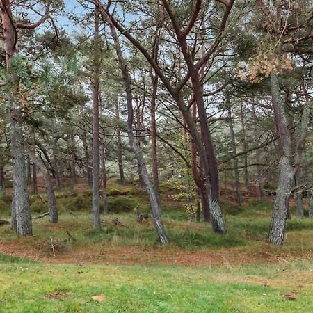 Amazing In With Wifi Neksø