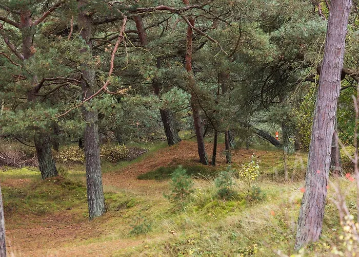 Amazing In With Wifi Апартаменты *