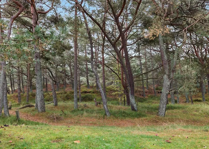 Amazing In With Wifi Нексё